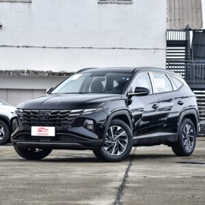 Hyundai Tucson 2023 Model Tucson L 1.5T Automatic 2WD GLX Elite
