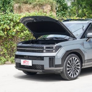 Hyundai Santa Fe 2024 Model 2.0T Connoisseur Pro Max - 图片 6