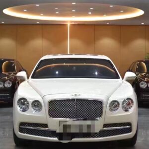Bentley Flying Spur 2015 W12 6.0T Standard Model - 图片 2