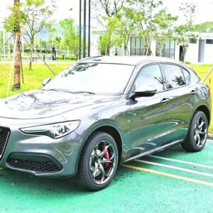 Alfa Romeo Stelvio 2017 2.0T 200HP Lusso