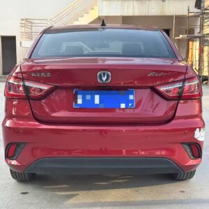 Changan Yidong DT 2018 1.6 Premium Edition - 图片 5