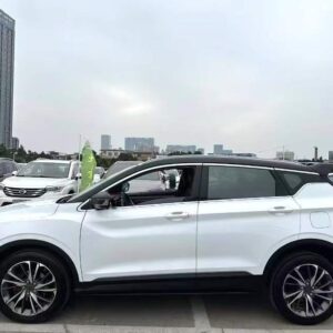 Geely 2019 Bin Yue 1.5T 260T Sport Battle - 图片 2