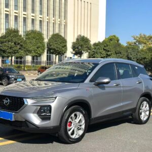 Haima 2019 8S 1.6TGDI