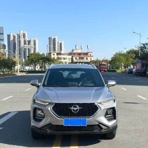 Haima 2019 8S 1.6TGDI - 图片 2