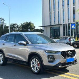 Haima 2019 8S 1.6TGDI - 图片 3