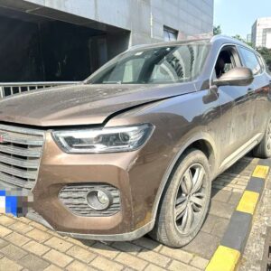 Haval 2018 H6 1.5T luxury Red label