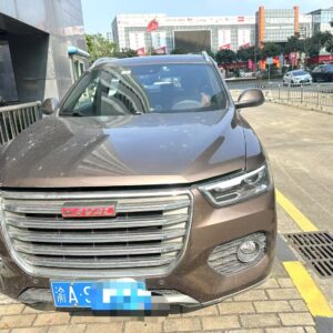 Haval 2018 H6 1.5T luxury Red label - 图片 2