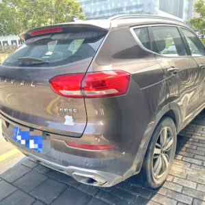 Haval 2018 H6 1.5T luxury Red label - 图片 3