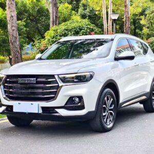 Haval 2021 H6 1.5T National tide edition Urban edition
