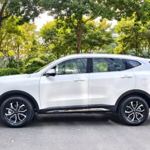 Haval 2021 H6 1.5T National tide edition Urban edition - 图片 3