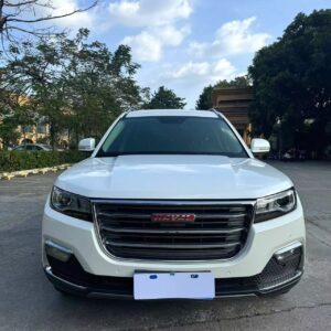 Haval 2017 H7L 2.0T luxury red label - 图片 2
