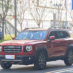 Haval 2021 Big Dog 1.5T side grazing Wang wealth version