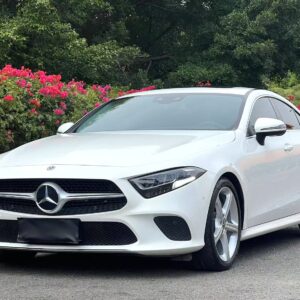Mercedes-benz CLS 2018 CLS 300 2.0T dynamic model