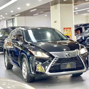 Lexus RX 2016 RX300 2.0T two-drive Elite Edition - 图片 3