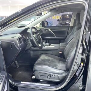 Lexus RX 2016 RX300 2.0T two-drive Elite Edition - 图片 6